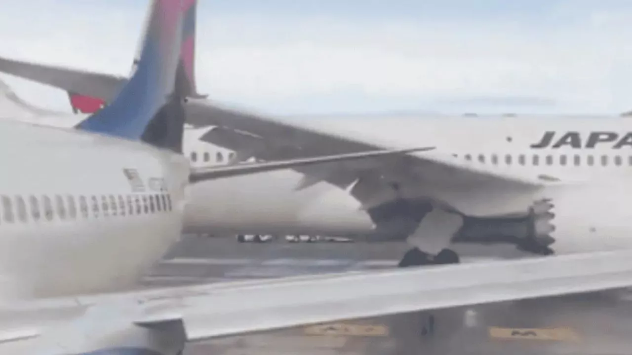 1739394725 592 10 accidentes aereos y 105 fallecidos en lo que va