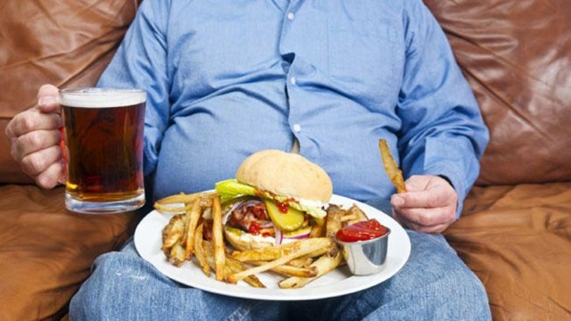 Existen neuronas relacionadas con la búsqueda compulsiva de alimentos, según investigadores