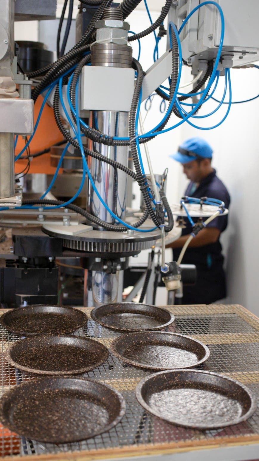 Instalan primera planta para la transformacion del sargazo en RD