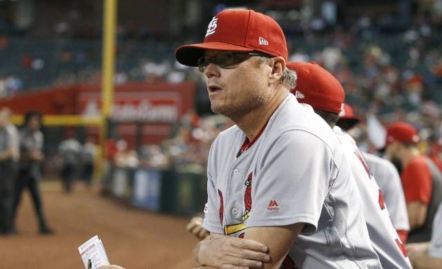 Cardenales despiden a Shildt por diferencias filosoficas