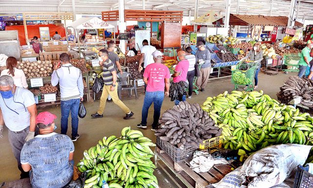 Gobierno estima dejara de recibir RD285688 millones por