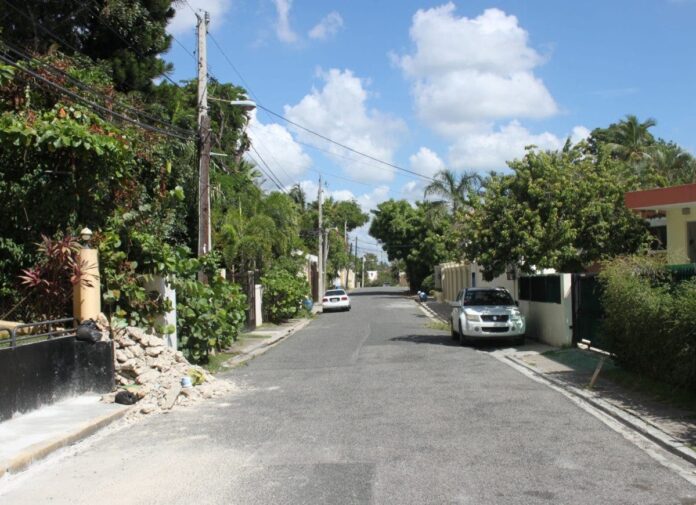 Manuel Simó, un artista dominicano auténtico