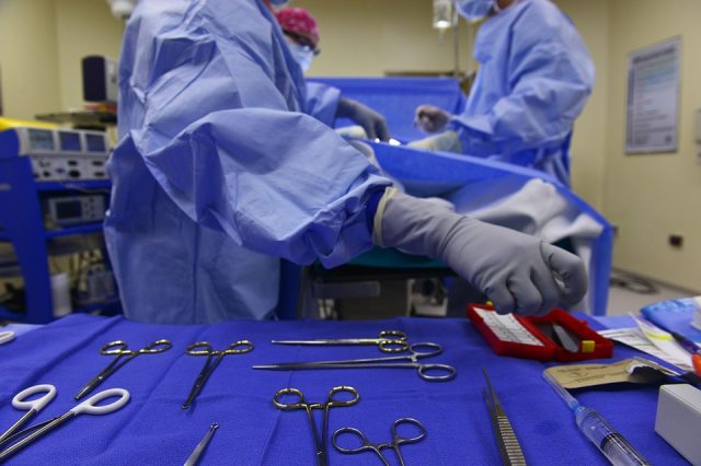 Médicos consiguen trasplantar un riñón de cerdo a un humano en NY Medicos consiguen trasplantar un rinon de cerdo a un humano