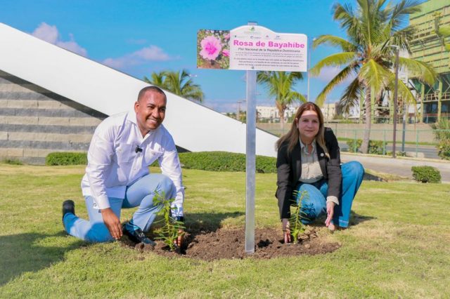 Promoveran Flor Nacional Rosa de Bayahibe en aeropuertos del pais