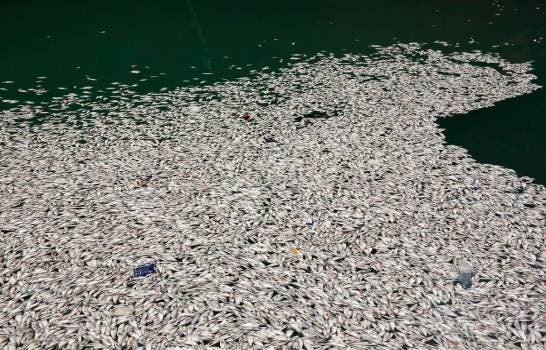 Residentes de Barahona culpan a barco de EGE HAINA por