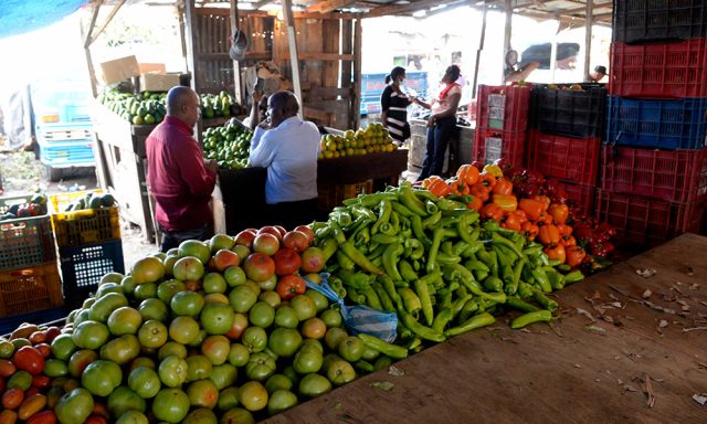 Preocupa alza de precios de varios productos agricolas