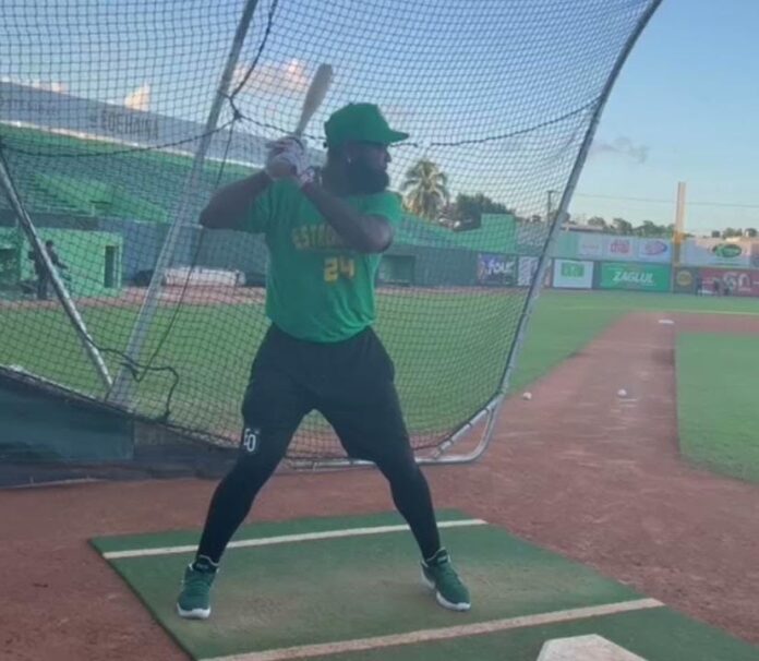 A fuerza de batazos y con una gran disciplina en el plato, el veterano inicialista Yamaico Navarro ha forjado una bien ganada reputación