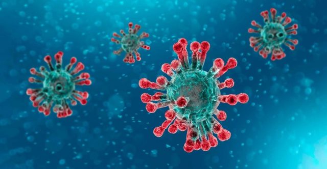 Se espera en próximos días detectar en NY variante ómicron_ insta vacunarse Se espera en próximos días detectar en NY variante ómicron_ insta vacunarse