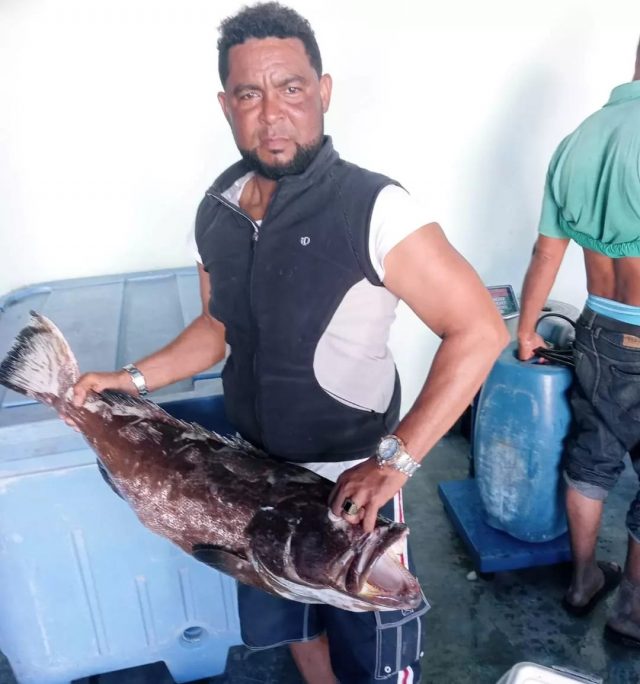 Buzo muere al inhalar aire tóxico de la máquina de buceo Buzo muere al inhalar aire tóxico de la máquina de buceo