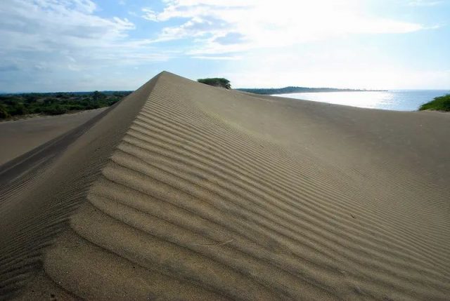 Julito Fulcar pide a Medio Ambiente mayor protección para Las Dunas de Baní Julito Fulcar pide a Medio Ambiente mayor protección para Las Dunas de Baní