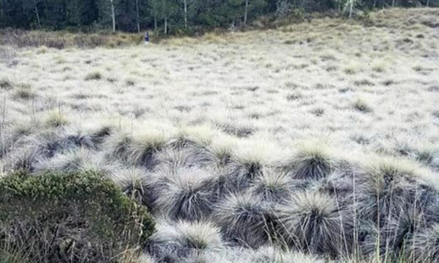 Nuevo frente frio congela la zona montanosa