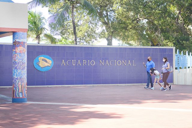 Pocos mantienen el tradicional paseo familiar al Acuario Nacional