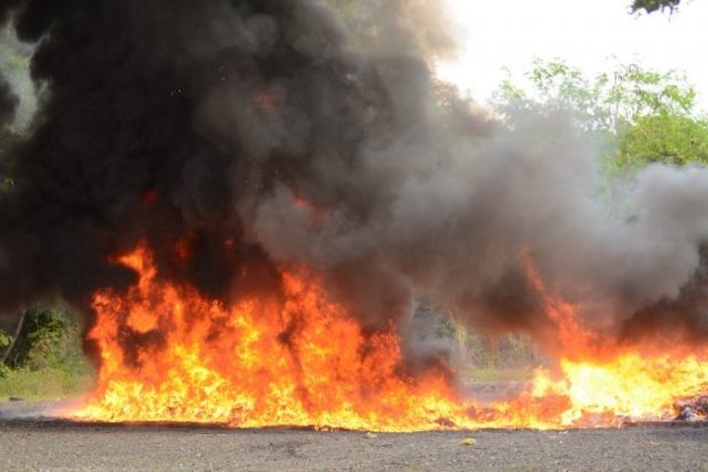 Procuraduría quema 323 kilogramos de diversas drogas