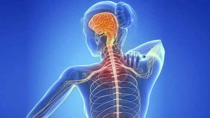 Virus Epstein-Barr y esclerosis múltiple, una posible vía a la Avatar