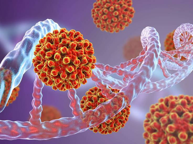 Agente infeccioso podría ser causa de casos de hepatitis infantil 1 Agente infeccioso podría ser causa de casos de hepatitis infantil