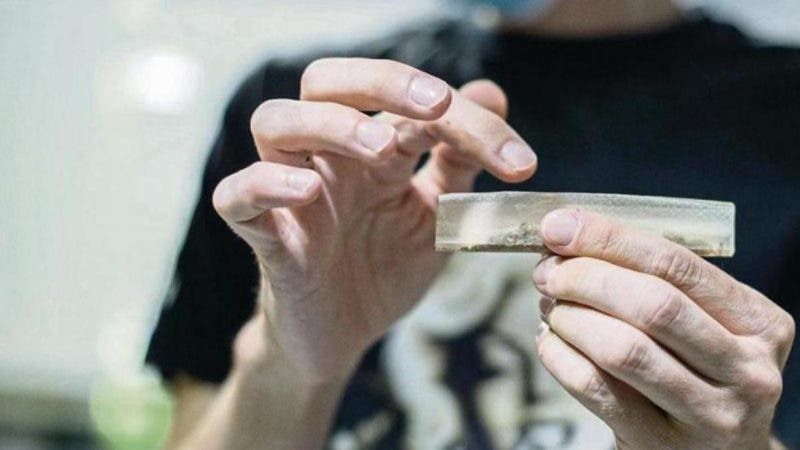 ¡Insolito Sirvio platos con marihuana en su boda y ahora