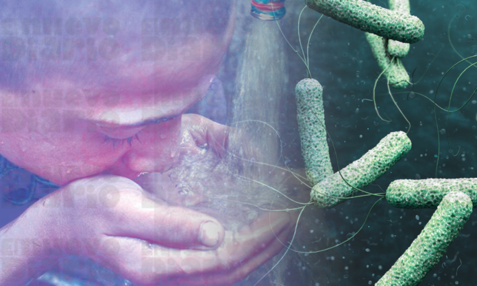 Salud Pùblica notifica 2 nuevos casos de cólera para un total de 19 contagios