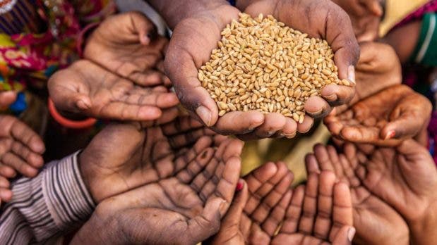 1674649574 292 FAO America Latina puede liderar la alimentacion y la agricultura