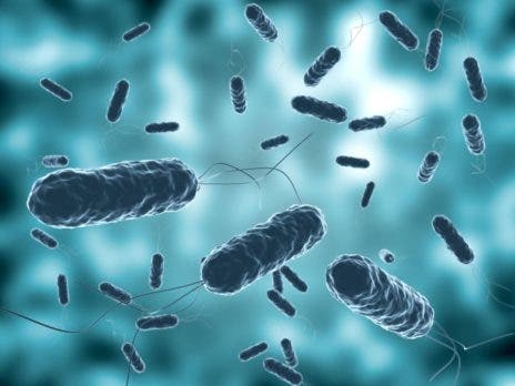 Colera en RD Dos personas que regresaron de Haiti recientemente