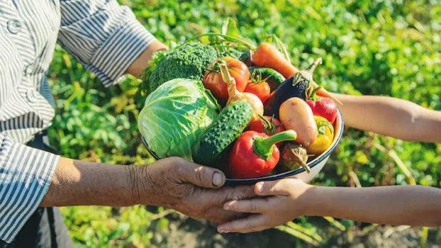 FAO America Latina puede liderar la alimentacion y la agricultura