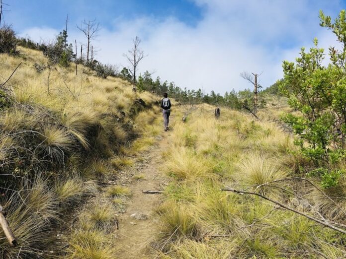 Pasear al aire libre tiene más beneficios para la salud