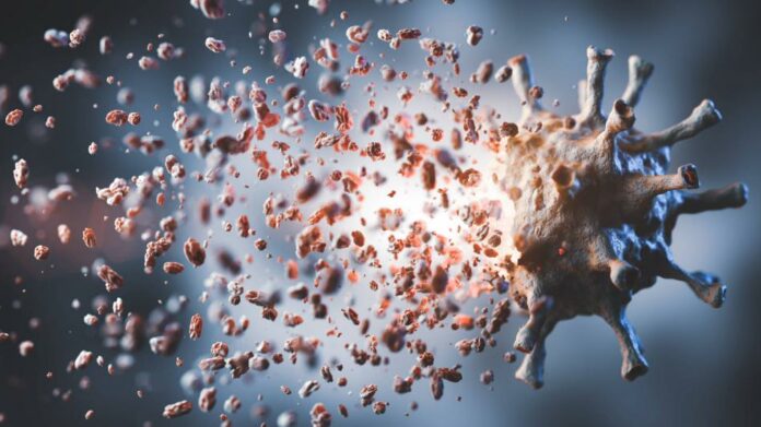 Nueve muertos en Guinea Ecuatorial por su primer brote del virus de Marburgo