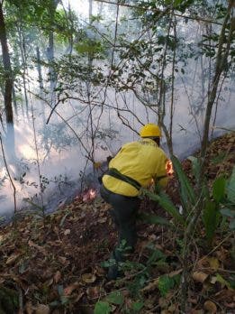 1677368756 406 Medio Ambiente mantiene controlado incendio forestal en Barahona