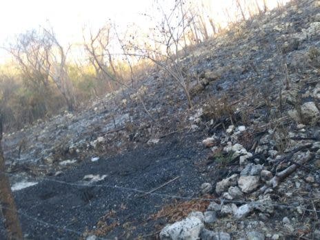 1677368756 964 Medio Ambiente mantiene controlado incendio forestal en Barahona