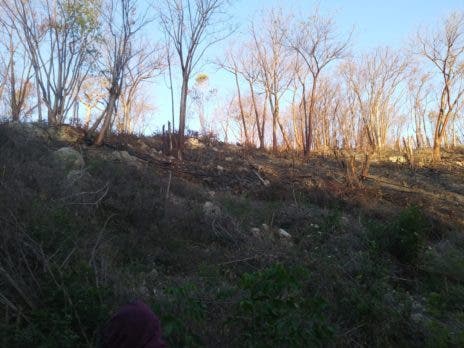 Medio Ambiente mantiene controlado incendio forestal en Barahona Medio Ambiente mantiene controlado incendio forestal en Barahona