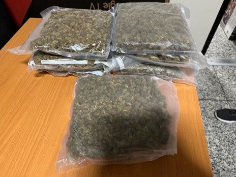 Entran marihuana a RD camuflada en aspiradora y cajas de