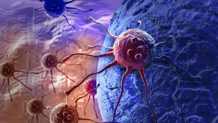 Crean nanocápsulas con control remoto para ampliar efecto de quimioterapias