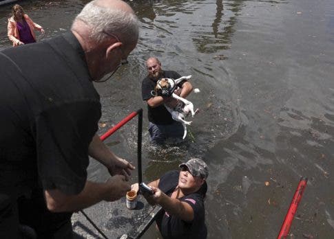 1681500355 19 Fotos y videos Fuertes lluvias provocaron inundaciones en el sur de