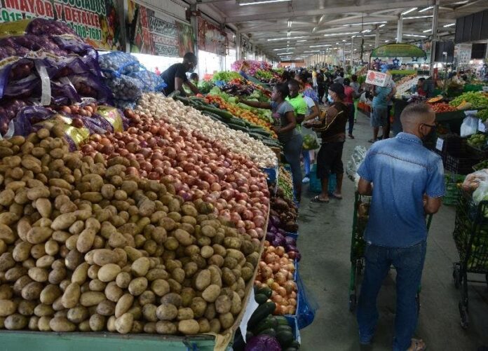 Cambios planteados por comisión a Ley 87-01  encienden las alarmas