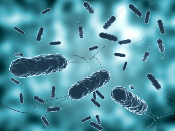 Cólera en Juana Méndez de Haití está bajo control, según OPS y autoridades sanitarias