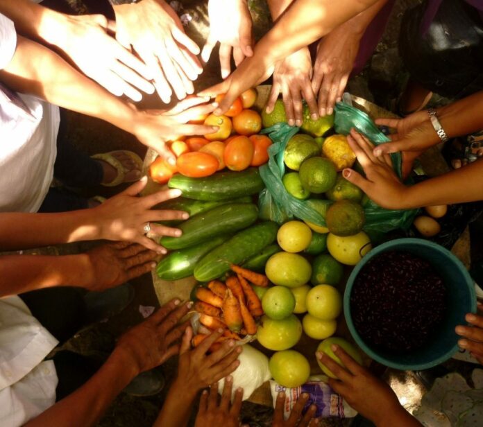 7 de junio: La inocuidad de los alimentos es un asunto de todos