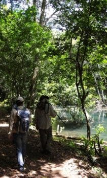 1686545291 227 Construiran carretera que unira a Pedernales e Independencia