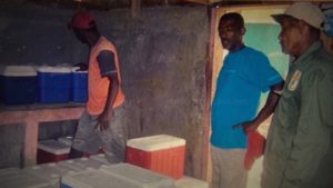 1686588264 492 Guardaparques con mas de 40 anos protegiendo tortugas marinas vive