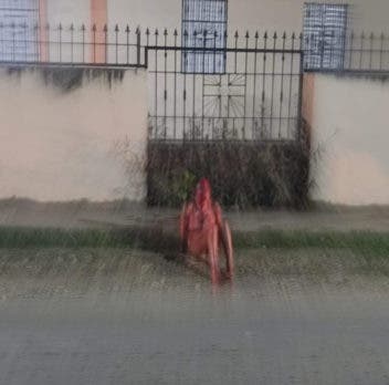 4 Perros casi matan una mujer en iglesia de Haras