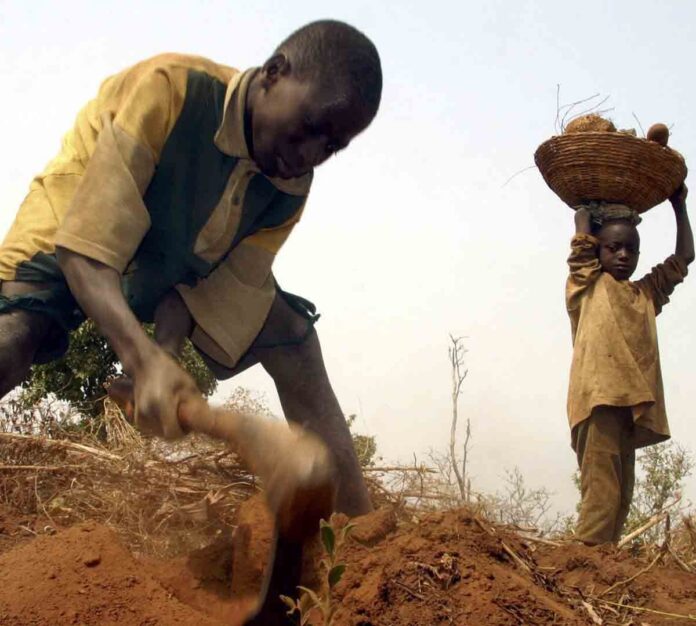 Al menos 27 muertos en enfrentamientos entre pastores y agricultores en Chad
