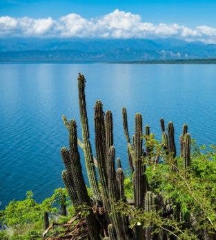 Construiran carretera que unira a Pedernales e Independencia
