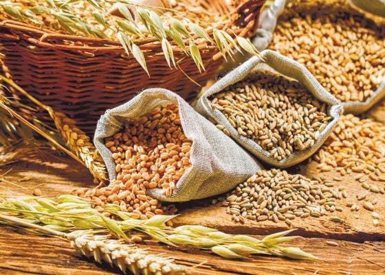 Los precios de los alimentos bajaron en mayo segun la