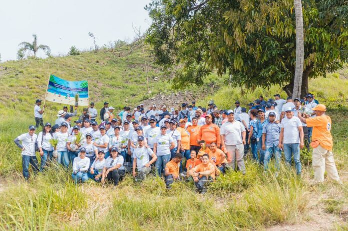 Presidencia siembra más de 4 mil pinos en Piedra Blanca Presidencia siembra más de 4 mil pinos en Piedra Blanca