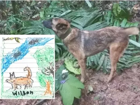 Wilson tras rescate de 4 ninos en la selva la.webp