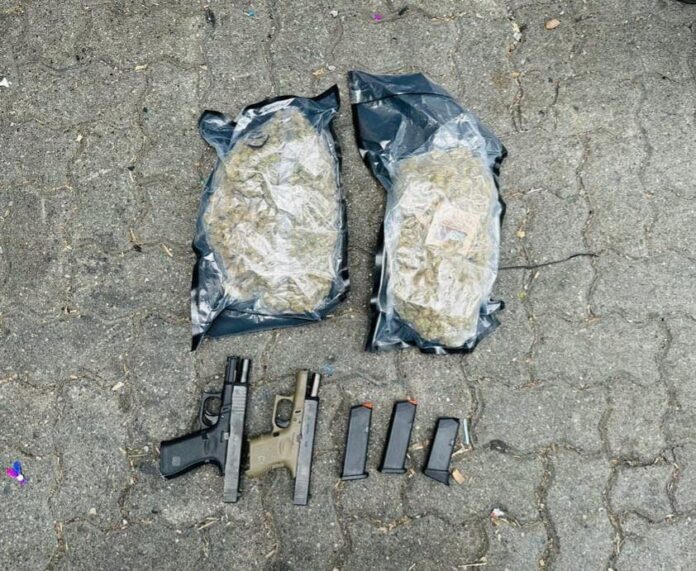 Marihuana y dos pistolas llegaron a RD en tanque de comida procedente de Nueva York