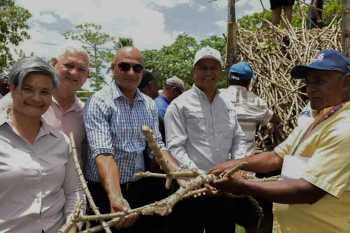 Agricultura prepara tierra y entrega material de siembra en San Pedro de Macorís