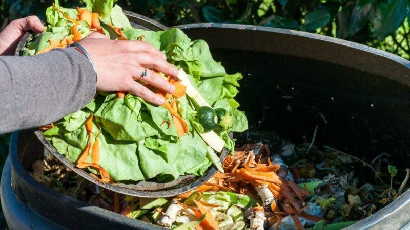 gaspillage alimentaire food waste bonduelle 1200x675 cropped