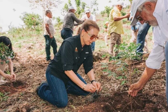 Reforestan área protegida de Azua