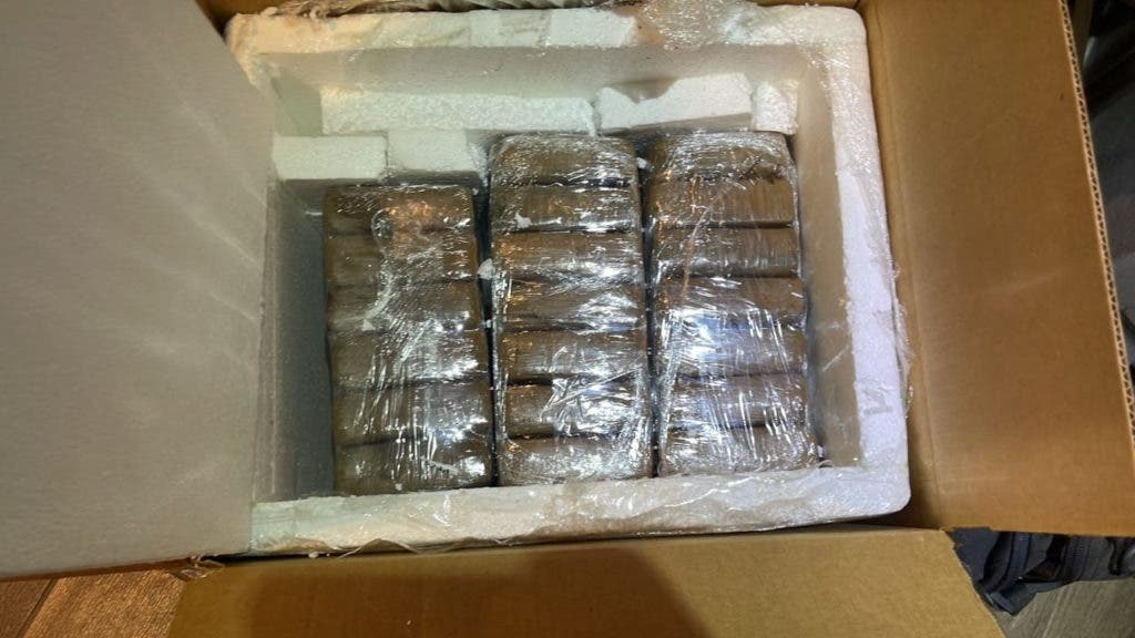 1692561553 271 Red de narcotrafico operaba simulando ser car wash y negocio