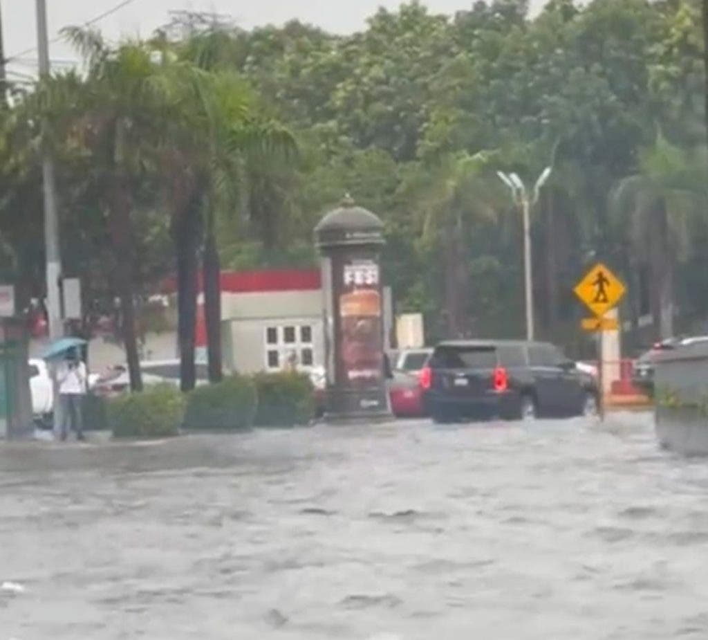 1692743723 470 Alianza PLD FP PRD es para perder hasta lo que tienen afirma