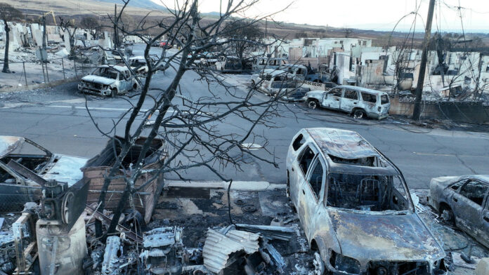 Identifican posible causa de los incendios forestales de Maui